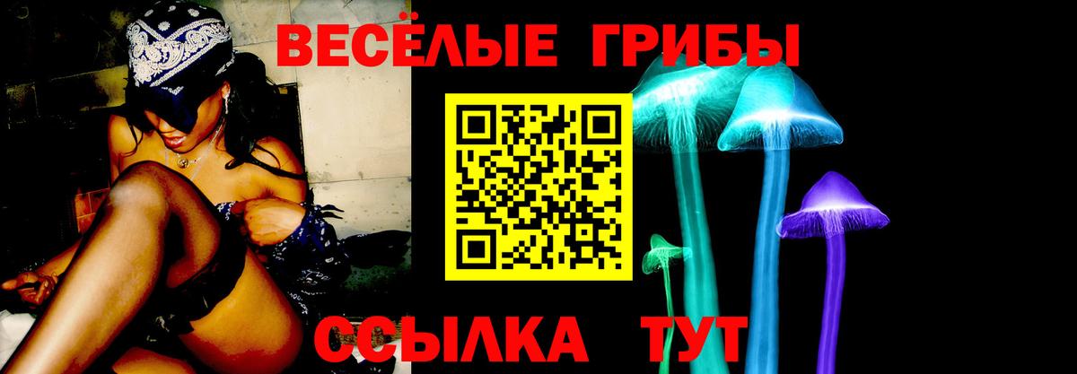 Новотроицк  Псилоцибиновые грибы Psilocybine cubensis  купить  сайты  Вход с VPN  Псилоцибиновые грибы Magic Shrooms 